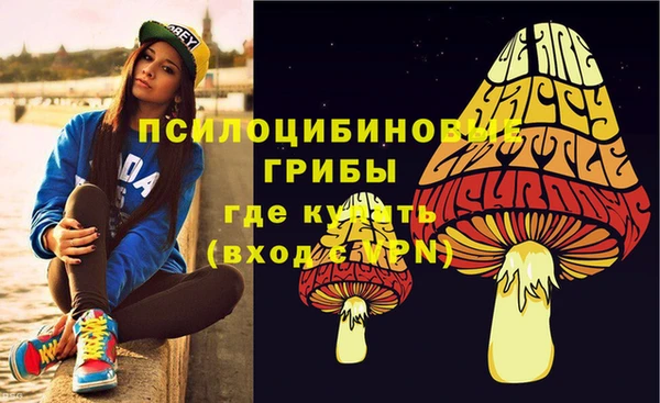 СК Алексеевка