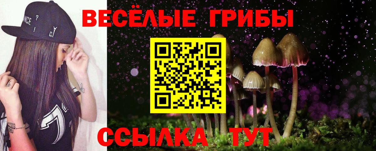 Советский  Псилоцибиновые грибы GOLDEN TEACHER  Вход с VPN 