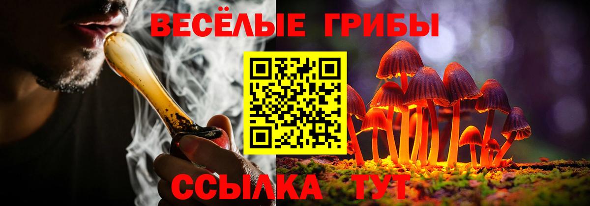 Галлюциногенные грибы ЛСД Советский